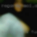 Sluts wanna fucked