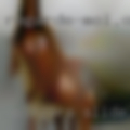 Swingers Slidell